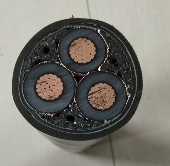 1130102491 4CX10 Cu/xlpe/swa/pvc