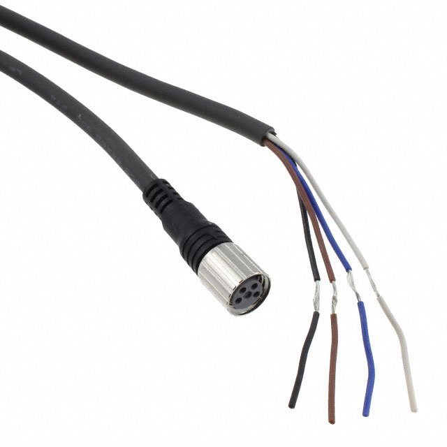 Panasonic CN-24A-C2 Connection Lead M8 Pin 4 Plug — Panasonic